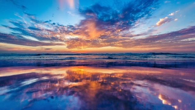 开云:背阔肌器材