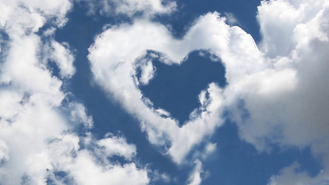 Kaiyun:田径训练器材推荐